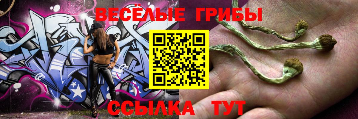 Галлюциногенные грибы Psilocybine cubensis Асбест